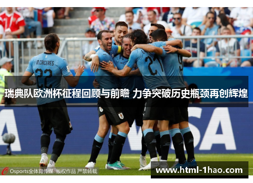 瑞典队欧洲杯征程回顾与前瞻 力争突破历史瓶颈再创辉煌