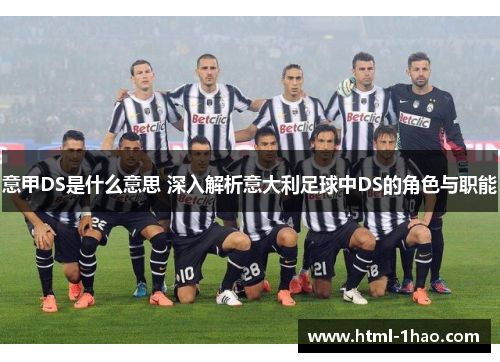 意甲DS是什么意思 深入解析意大利足球中DS的角色与职能