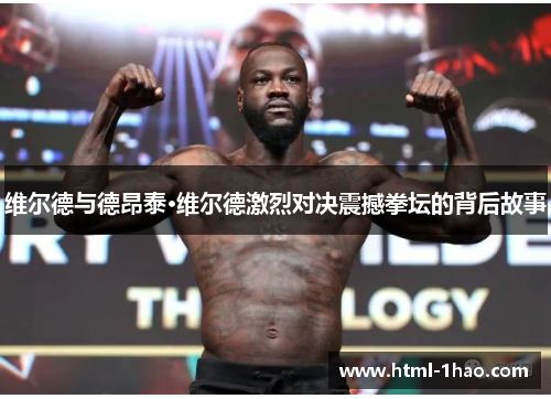 维尔德与德昂泰·维尔德激烈对决震撼拳坛的背后故事