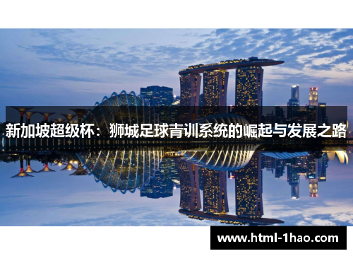 新加坡超级杯：狮城足球青训系统的崛起与发展之路