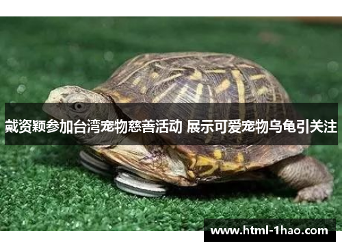 戴资颖参加台湾宠物慈善活动 展示可爱宠物乌龟引关注