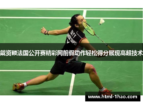 戴资颖法国公开赛精彩网前假动作轻松得分展现高超技术