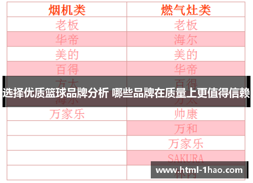 选择优质篮球品牌分析 哪些品牌在质量上更值得信赖