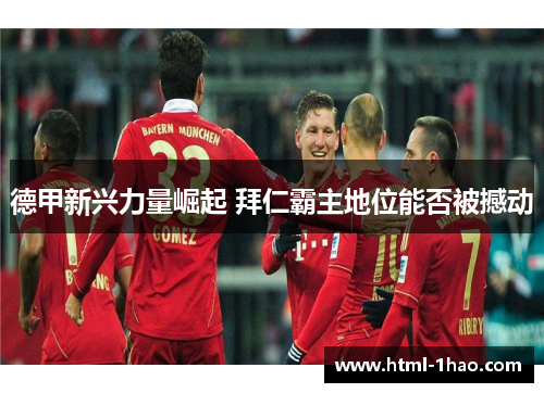 德甲新兴力量崛起 拜仁霸主地位能否被撼动