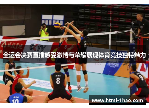 全运会决赛直播感受激情与荣耀展现体育竞技独特魅力
