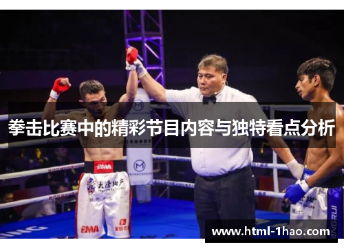 拳击比赛中的精彩节目内容与独特看点分析
