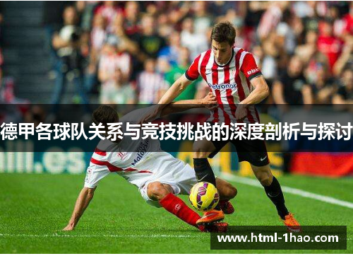 德甲各球队关系与竞技挑战的深度剖析与探讨