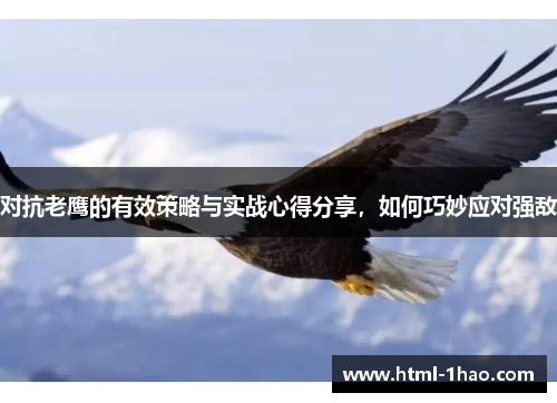 对抗老鹰的有效策略与实战心得分享，如何巧妙应对强敌