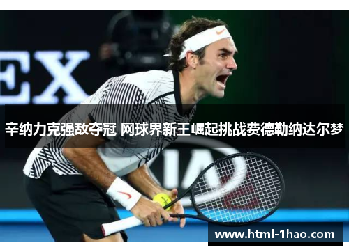 辛纳力克强敌夺冠 网球界新王崛起挑战费德勒纳达尔梦
