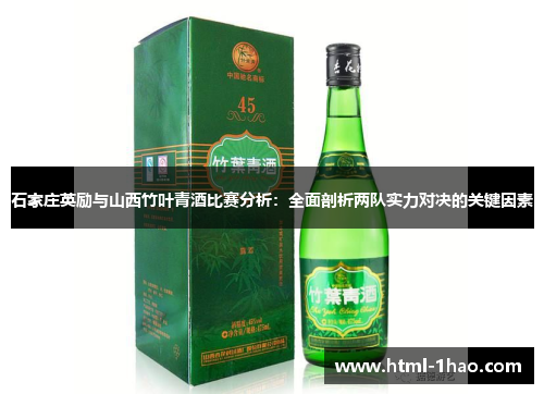 石家庄英励与山西竹叶青酒比赛分析：全面剖析两队实力对决的关键因素