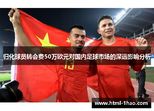 归化球员转会费50万欧元对国内足球市场的深远影响分析