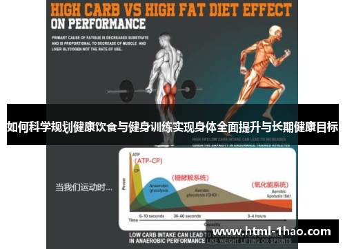如何科学规划健康饮食与健身训练实现身体全面提升与长期健康目标