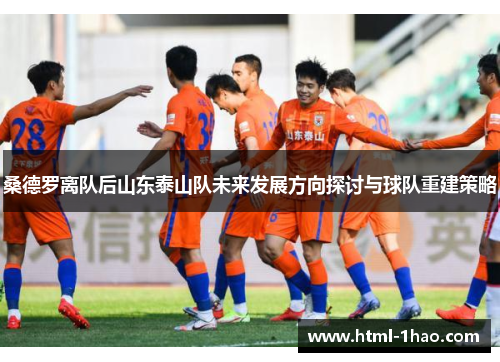 桑德罗离队后山东泰山队未来发展方向探讨与球队重建策略
