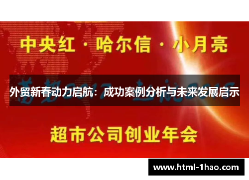 外贸新春动力启航：成功案例分析与未来发展启示