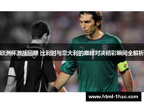 欧洲杯激战回顾 比利时与意大利的巅峰对决精彩瞬间全解析
