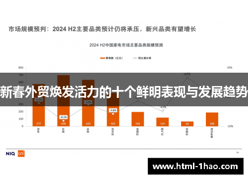 新春外贸焕发活力的十个鲜明表现与发展趋势
