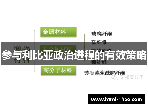 参与利比亚政治进程的有效策略