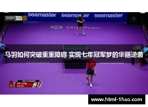 马羽如何突破重重障碍 实现七年冠军梦的华丽逆袭
