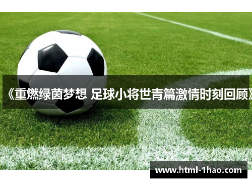 《重燃绿茵梦想 足球小将世青篇激情时刻回顾》