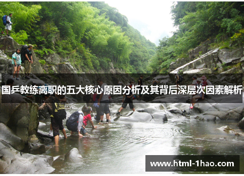 国乒教练离职的五大核心原因分析及其背后深层次因素解析