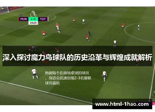 深入探讨魔力鸟球队的历史沿革与辉煌成就解析