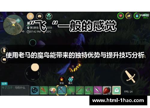 使用老马的魔鸟能带来的独特优势与提升技巧分析