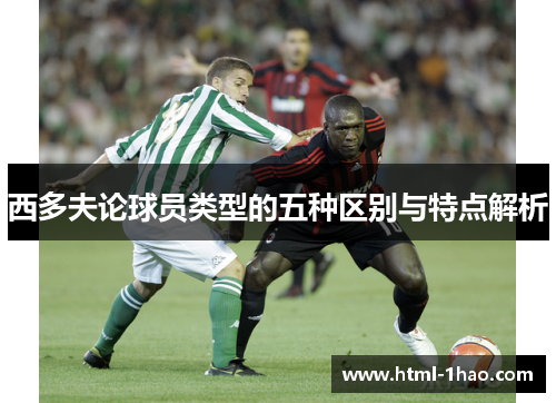 西多夫论球员类型的五种区别与特点解析