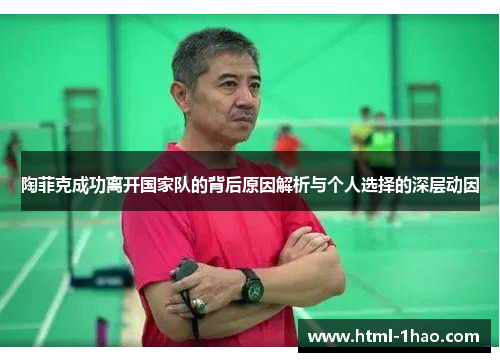 陶菲克成功离开国家队的背后原因解析与个人选择的深层动因