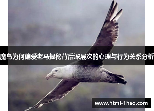 魔鸟为何偏爱老马揭秘背后深层次的心理与行为关系分析