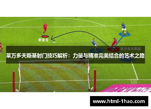 莱万多夫斯基射门技巧解析：力量与精准完美结合的艺术之路