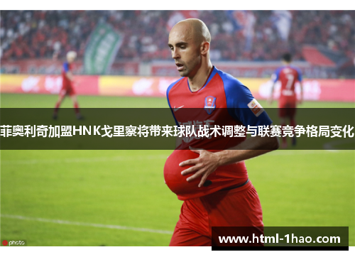 菲奥利奇加盟HNK戈里察将带来球队战术调整与联赛竞争格局变化