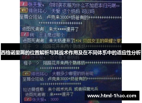 西格诺里踢的位置解析与其战术作用及在不同体系中的适应性分析