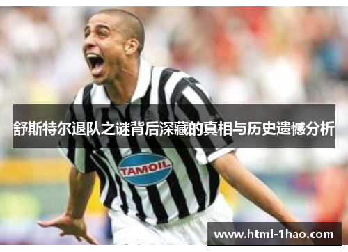 舒斯特尔退队之谜背后深藏的真相与历史遗憾分析