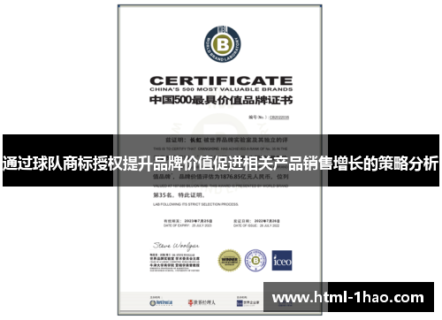 通过球队商标授权提升品牌价值促进相关产品销售增长的策略分析