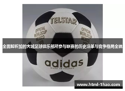 全面解析加的夫城足球俱乐部所参与联赛的历史沿革与竞争格局全貌