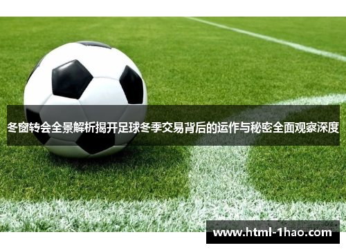 冬窗转会全景解析揭开足球冬季交易背后的运作与秘密全面观察深度