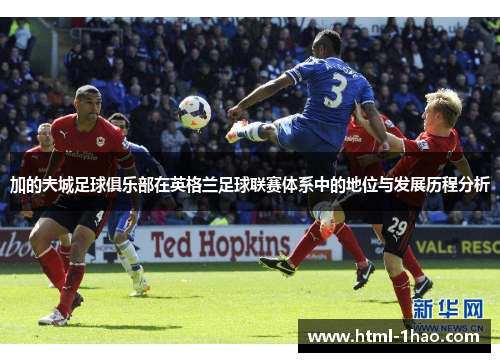 加的夫城足球俱乐部在英格兰足球联赛体系中的地位与发展历程分析