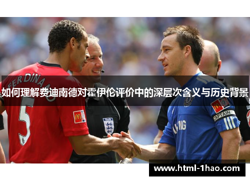 如何理解费迪南德对霍伊伦评价中的深层次含义与历史背景