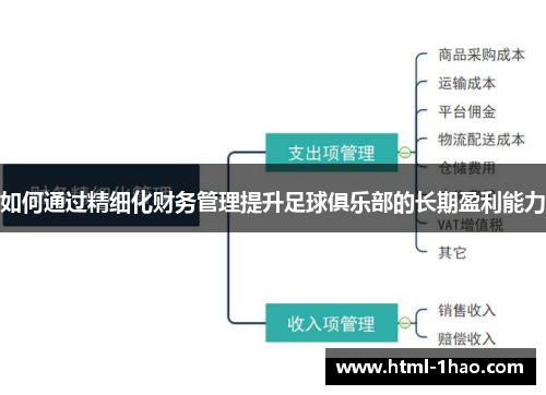 如何通过精细化财务管理提升足球俱乐部的长期盈利能力